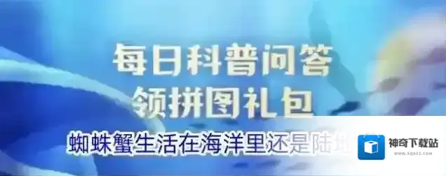 蜘蛛蟹生活在海洋里还是陆地上