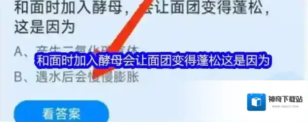 和面时加入酵母会让面团变得蓬松这是因为