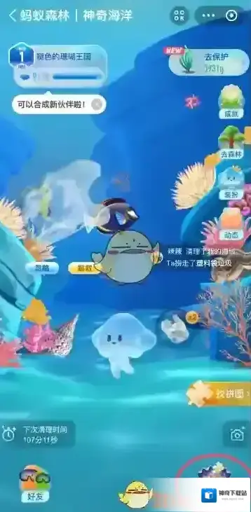 支付宝土褐色