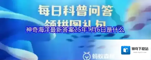 支付宝答题