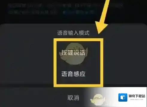 kook选择