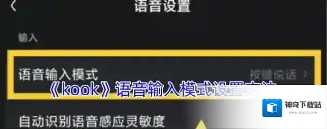 kook语音输入