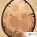 黑暗料理王怪物
