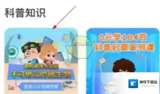 灯塔社交拼团