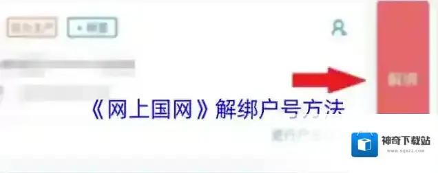 网上国网户号