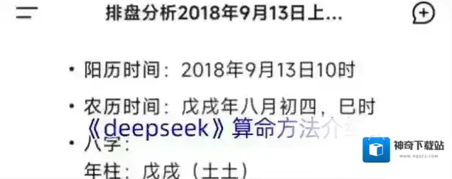 DeepSeek格式