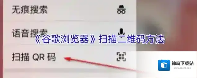 谷歌浏览器选项