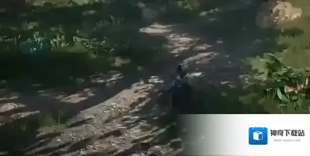 下一站江湖Ⅱ玩家