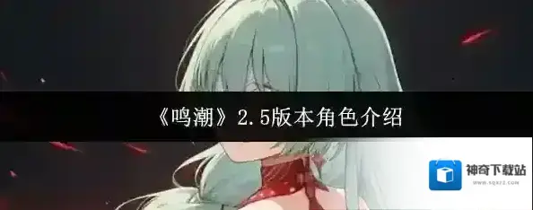 鸣潮版本