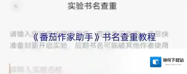 番茄作家助手书名