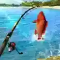Fishing Clash手游2025-Fishing Clash官方最新版Androidv1.0.389