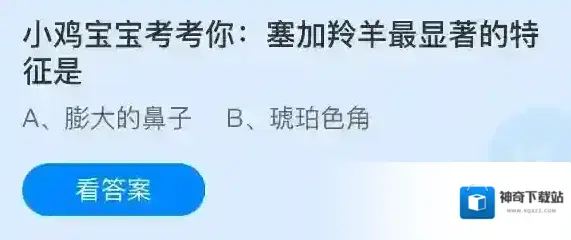 小鸡宝宝考考你：塞加羚羊最显著的特征是