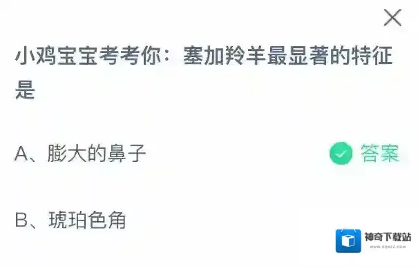 支付宝特征