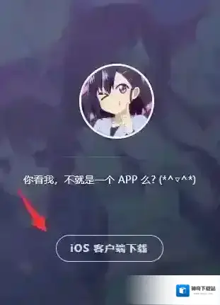 AGE动漫描述文件