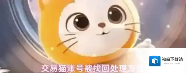 交易猫小伙伴们