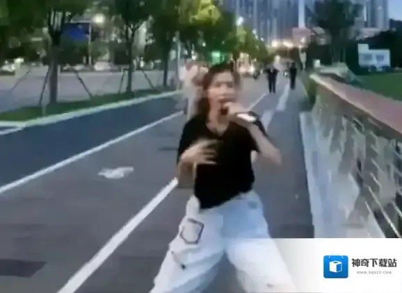 梗百科狼歌词