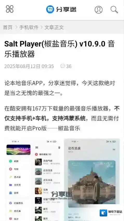 分享迷下载
