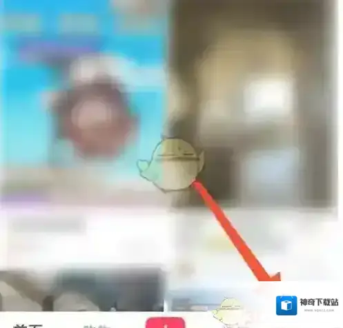 小红书官方认证