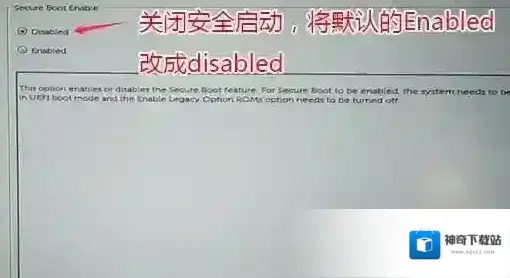 戴尔格式
