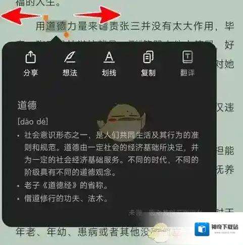 掌阅选区