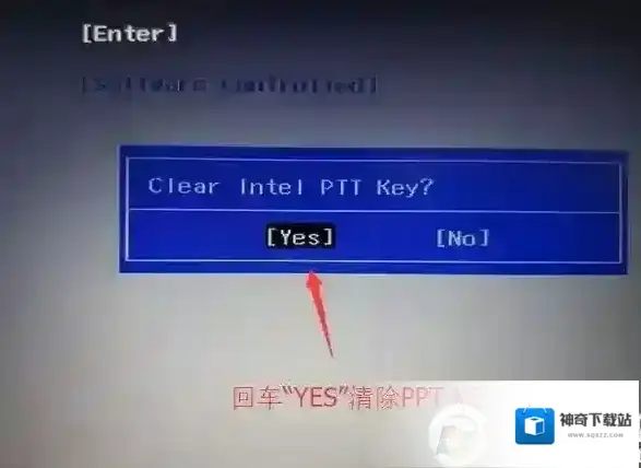 所示选项