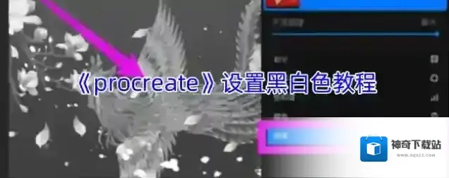 procreate点击