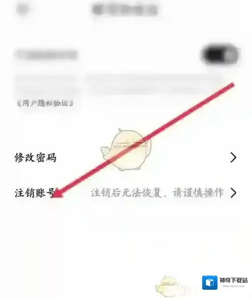 畅片选项