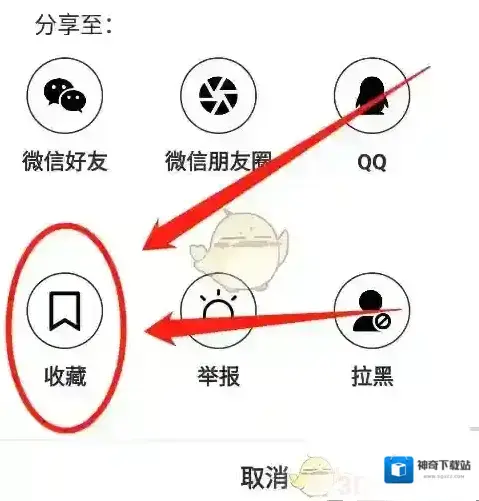 疯狂刷题试卷