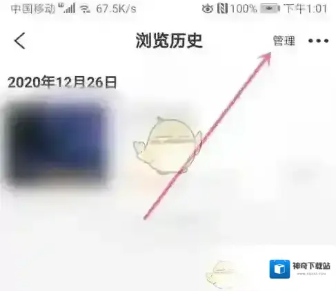 飞猪旅行选项