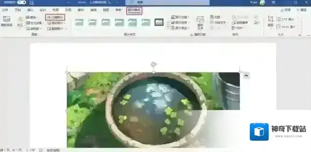 图片文档