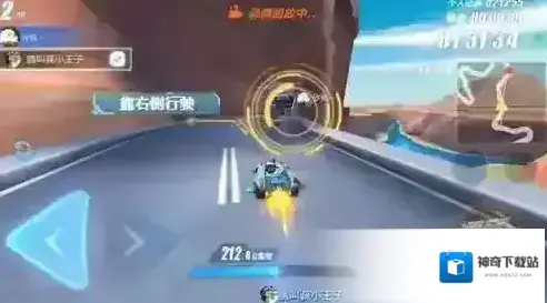 QQ飞车小伙伴
