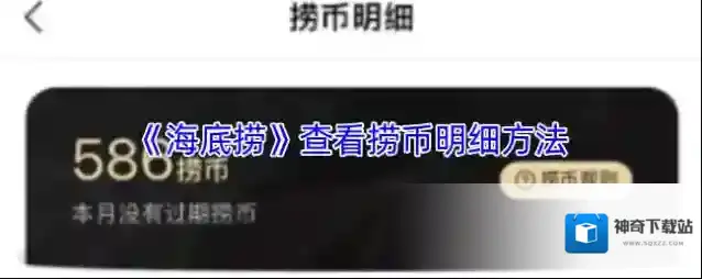 海底捞捞币