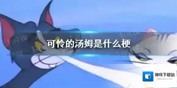 梗百科点击打开