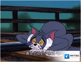梗百科猫和老鼠