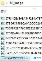 壁纸小编