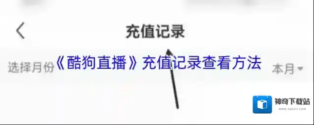 酷狗直播充值记录