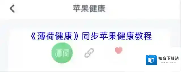 薄荷健康苹果健康