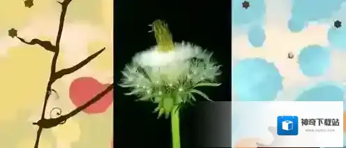 伊甸园安卓版