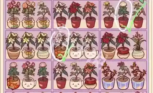 我的休闲时光风信