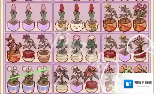 我的休闲时光经典