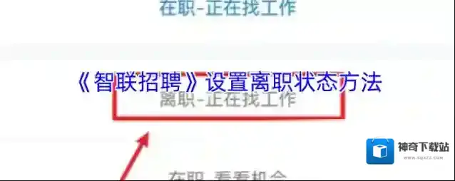 智联招聘状态