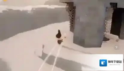 光遇一览