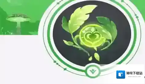原神神瞳
