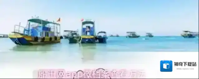 船讯网app微档案查看方法