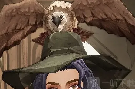 哈利波特魔法觉醒小奖