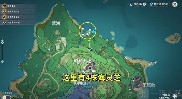 原神海灵芝采集刷新点2022分享 2.8版本海灵芝采集路线一览