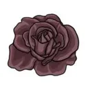 孤寂之地官方最新版