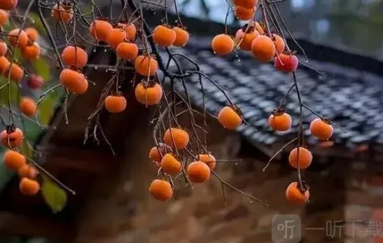 支付宝和光同尘