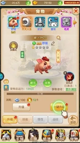 超级新宠物宠物