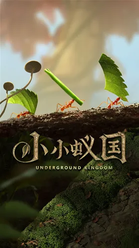 三国谋定天下游戏